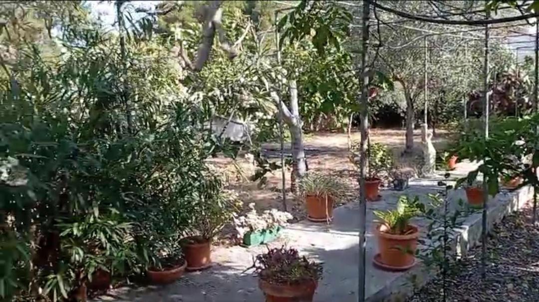 Casa Vacanze Il Carrubo Leporano Esterno foto